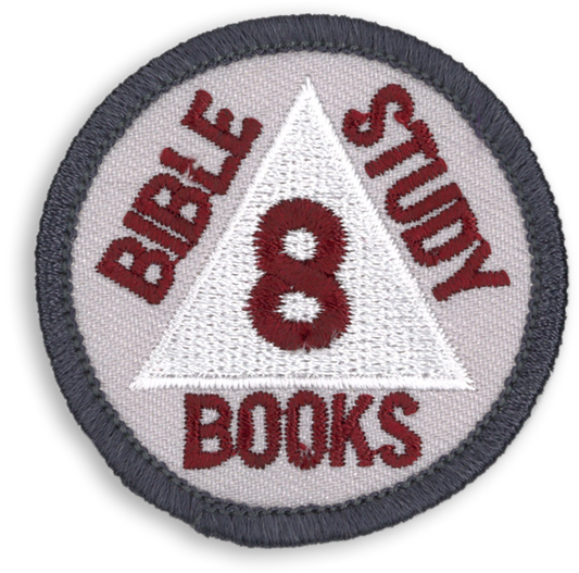 OLD Discovery Bible Books Badges