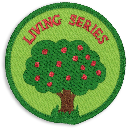 Christian Living Series Badge