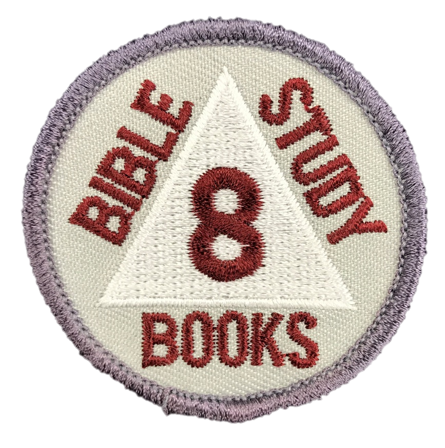 OLD Discovery Bible Books Badges