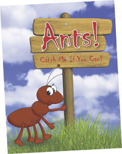 Ants Board Game