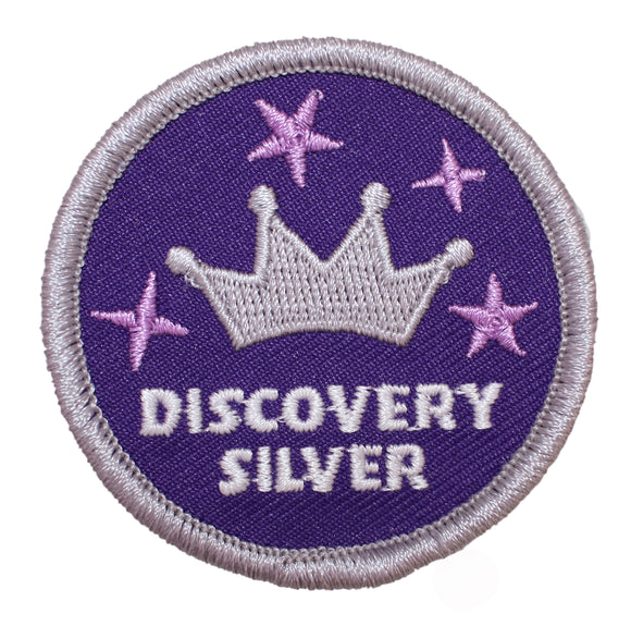 Silver Discovery Badge