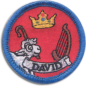 David Badge