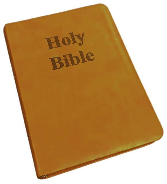 KJV Brown Gift Bible