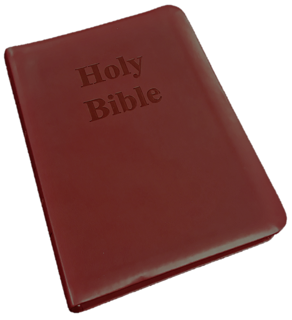 KJV Burgundy Gift Bible