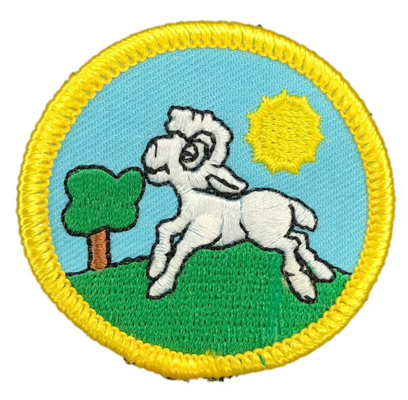 OLD Little Lambs Membership Badge